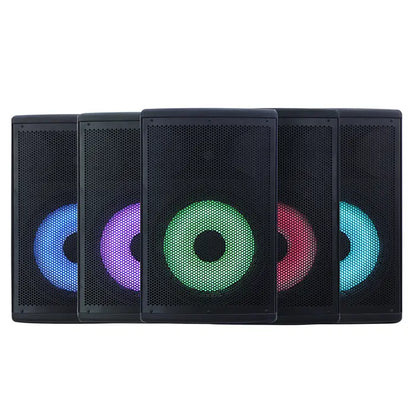 LED Light 1200W 12" Subwoofer PA System – Class D Amplifier, Bluetooth TWS, Karaoke Echo