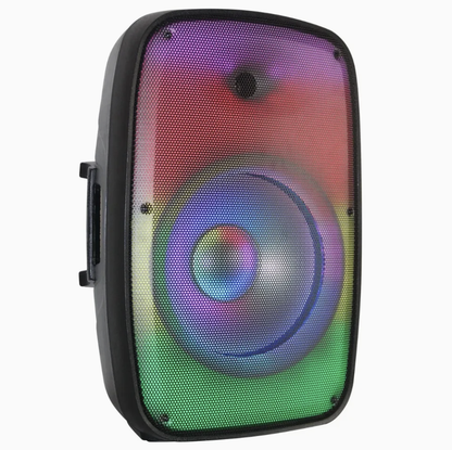 Sistema de karaoke con altavoz Bluetooth de 15 pulgadas con caja de sonido de audio PA y luz de llama
