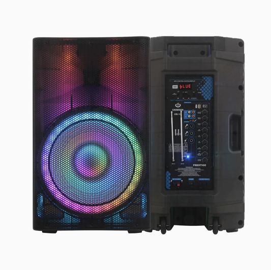 15" Full Translucent Bluetooth Party Speaker with Flame Light