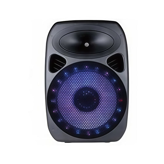 15" 200W RMS Portable Speaker Bluetooth for PA & Karaoke