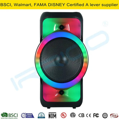 30W 12" RGB Portable Party Wireless Bluetooth Speaker – Full Screen RGB Light with Mic Echo &amp; Record