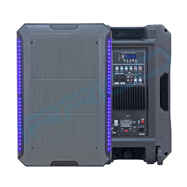 15" Trolley Karaoke Active Speaker System – Bluetooth Party Speaker with DSP; LED Lighting