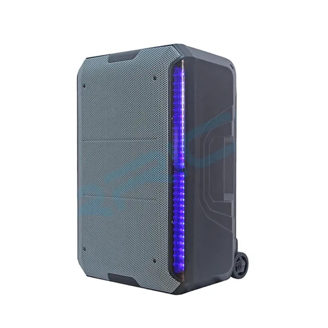 15" Trolley Karaoke Active Speaker System – Bluetooth Party Speaker with DSP; LED Lighting